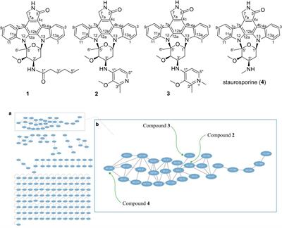 Cytotoxic Indolocarbazoles From a Marine-Derived Streptomyces Sp. OUCMDZ-5380